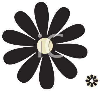 Cartoon+daisy+flower+pictures
