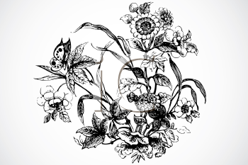 Insect Clipart
