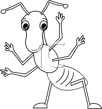 Insect Clipart