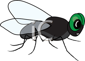 Insect Clipart