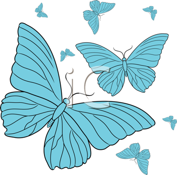 Insect Clipart
