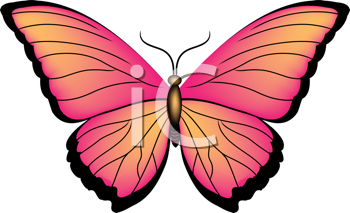 Insect Clipart