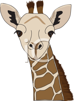 Mammal Clipart
