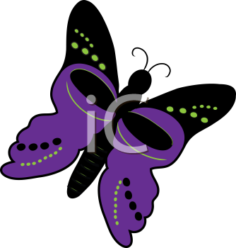 Insect Clipart