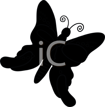 Insect Clipart