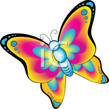 Insect Clipart