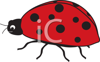 Insect Clipart