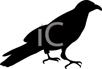 Bird Clipart