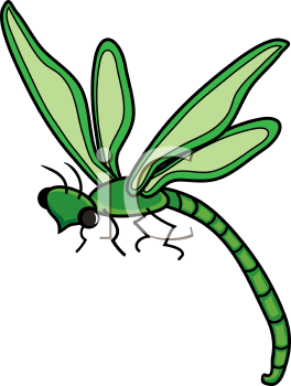 Insect Clipart