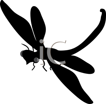 Insect Clipart
