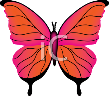 Insect Clipart