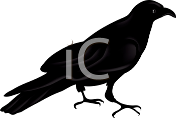 Bird Clipart