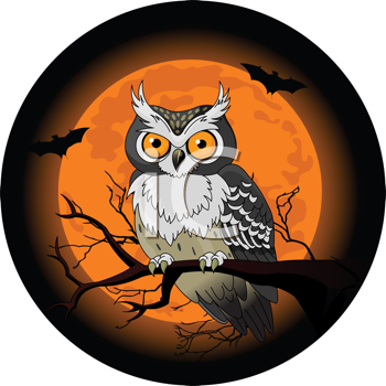 free clip art owl. Royalty Free Bird Clipart