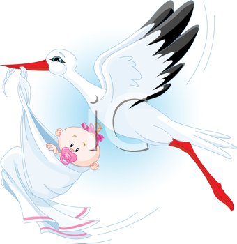 Insect Clipart