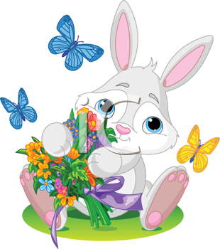 Insect Clipart