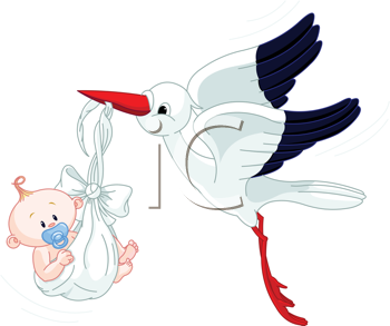 Insect Clipart