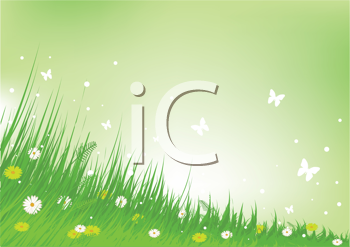 Insect Clipart