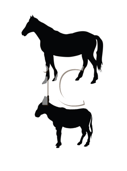 Horse Clipart