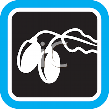 Farm Produce Clipart