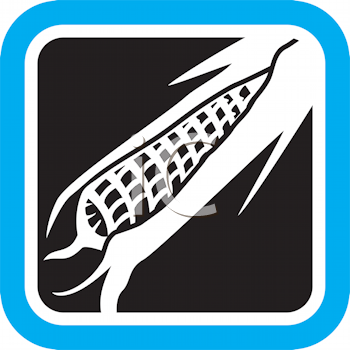 Farm Produce Clipart