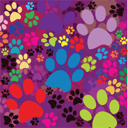 Pet Clipart
