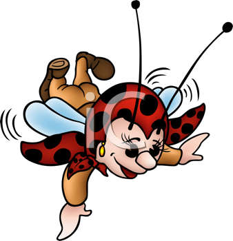 Insect Clipart