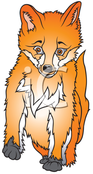 Pet Clipart