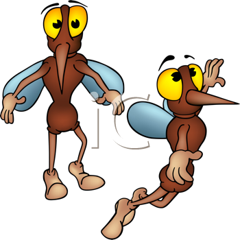 Insect Clipart