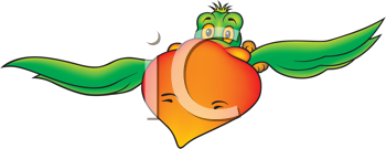 Insect Clipart
