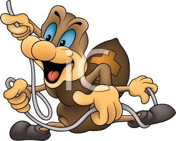 Insect Clipart