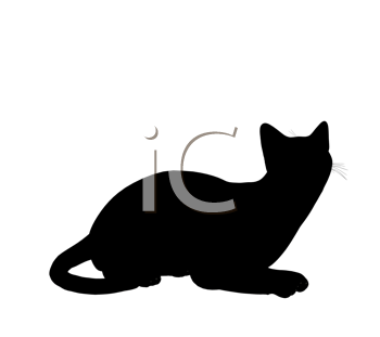 Pet Clipart