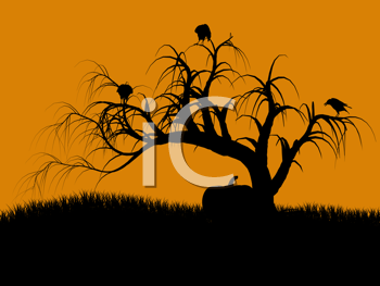 Bird Clipart
