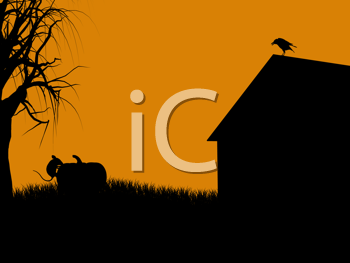 Bird Clipart
