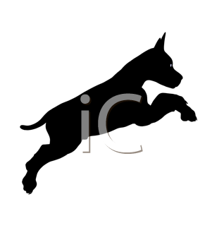 Pet Clipart