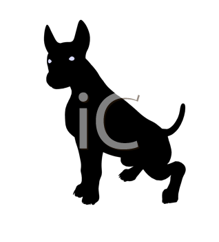 Pet Clipart
