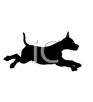 Pet Clipart