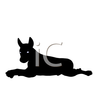 Pet Clipart