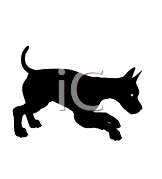 Pet Clipart