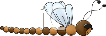 Insect Clipart