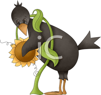 Bird Clipart