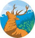 Deer Clipart