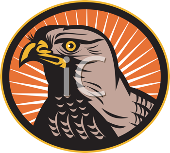 Bird Clipart