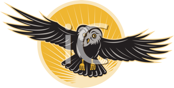 Insect Clipart