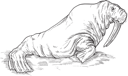 Bear Clipart