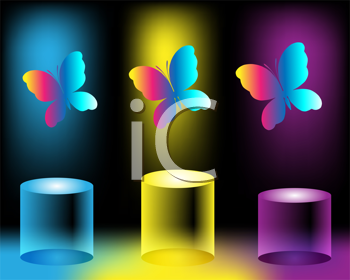 Insect Clipart