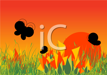 Insect Clipart