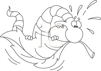 Insect Clipart