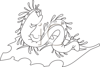 Insect Clipart