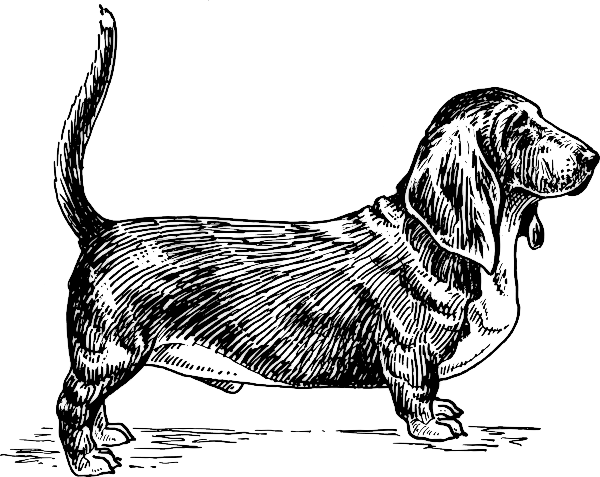 Free B Clipart