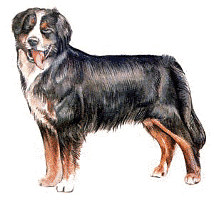 Free B Clipart